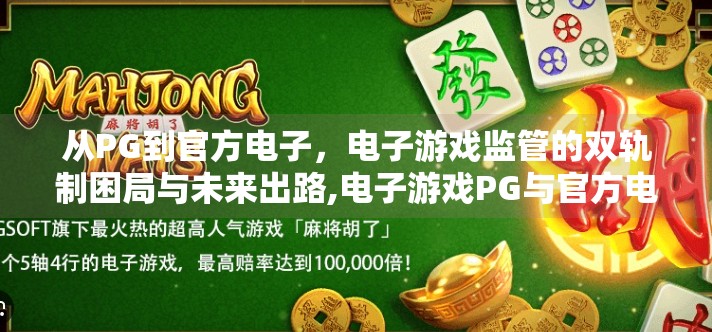 从PG到官方电子，电子游戏监管的双轨制困局与未来出路,电子游戏PG与官方电子的关系深度剖析